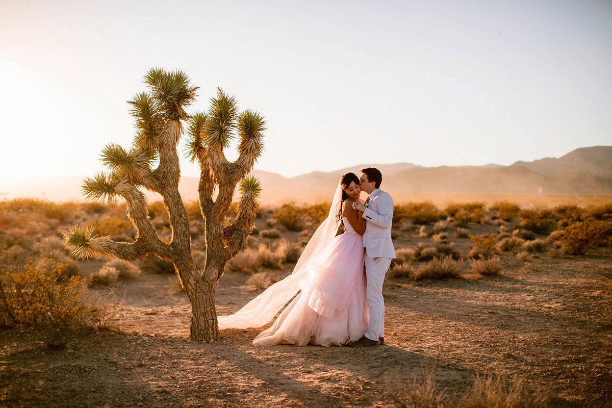 A Las Vegas Vow Renewal at The Little White Wedding Chapel with a Pink Dress and Seven Magic Mountains