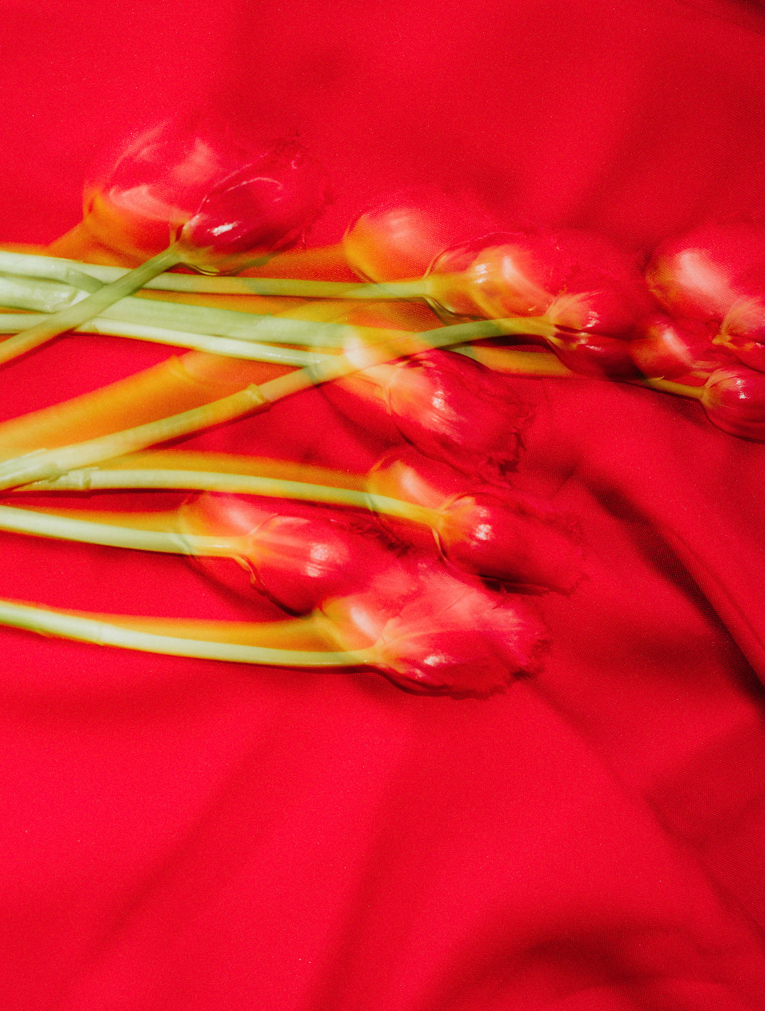 Bride faces away from the camera with her arms raised to cup a full moon in her hands by Brighton wedding photographer Lisa Devlin