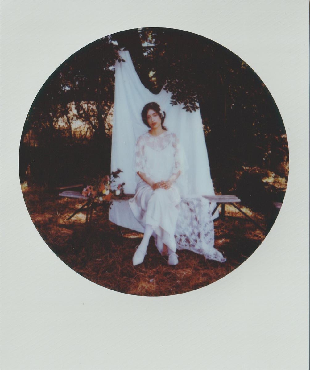 Flower Fields Polaroids portfolio