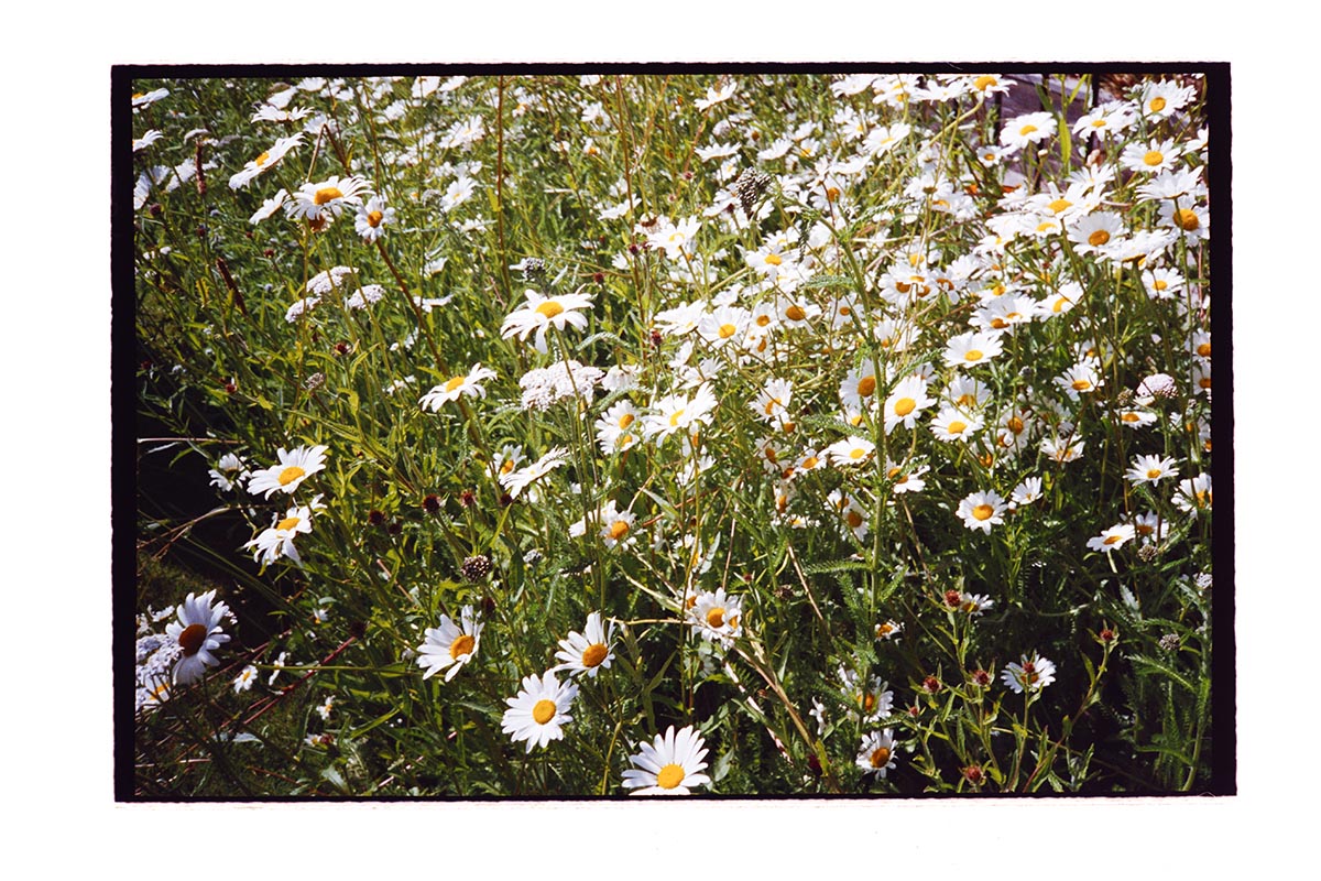 Sussex-Wedding-Film-01