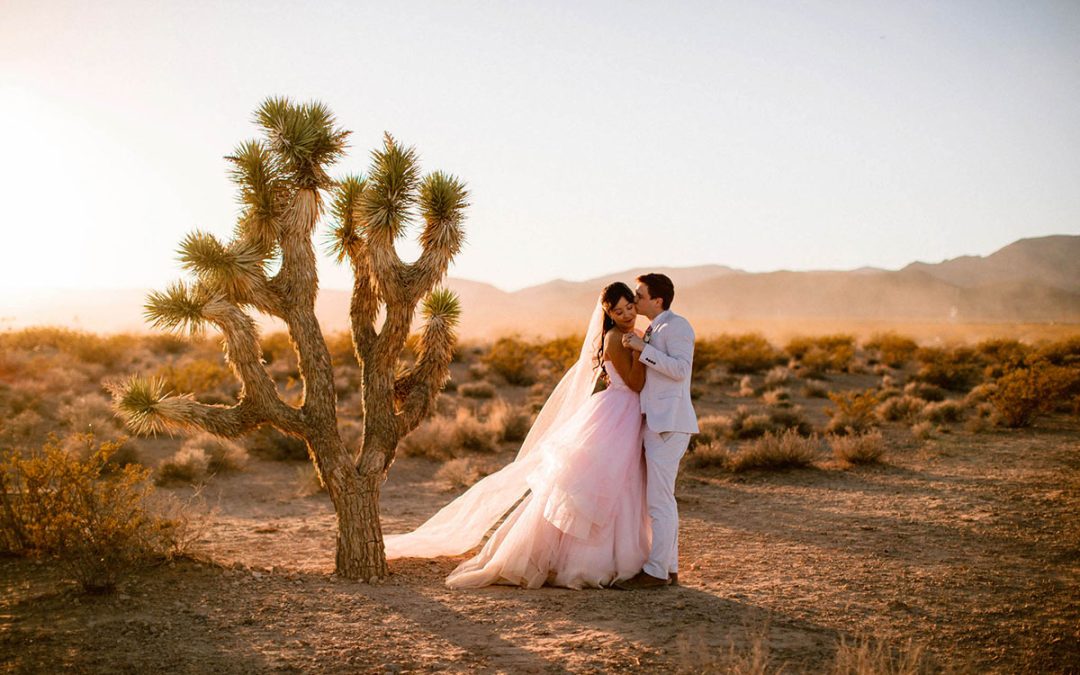A Las Vegas Vow Renewal at The Little White Wedding Chapel with a Pink Dress and Seven Magic Mountains